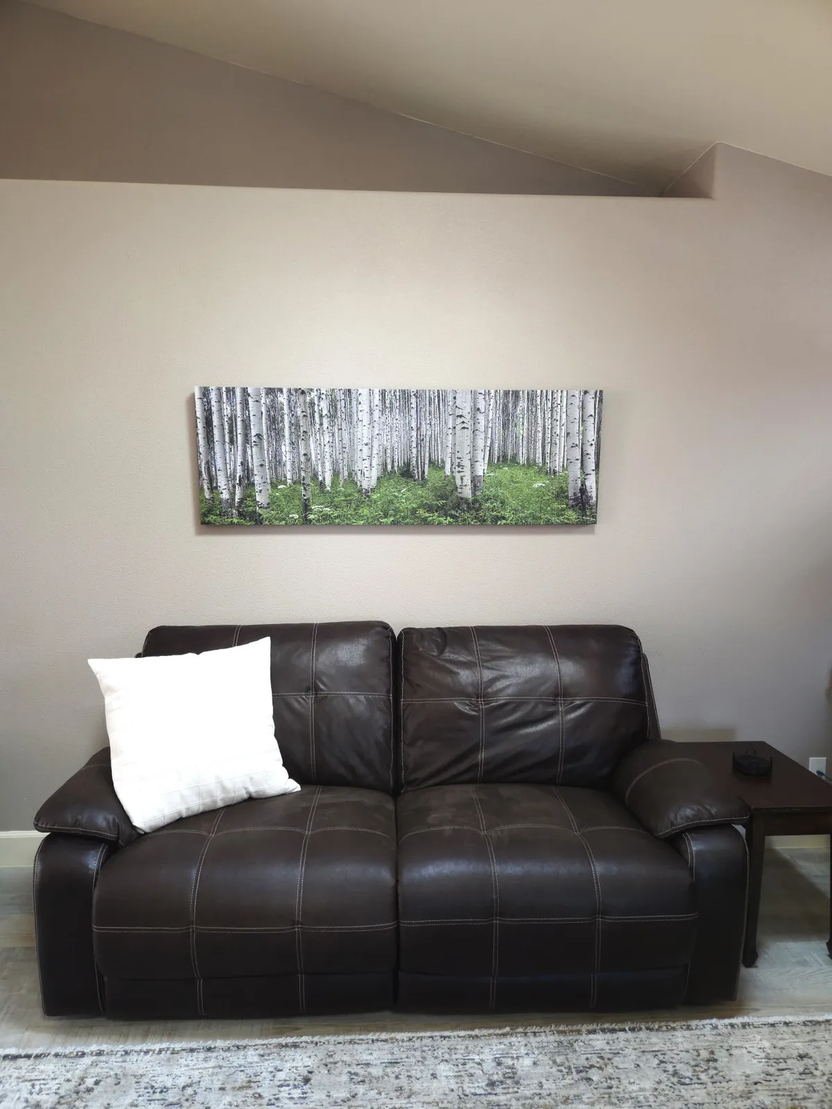 A brown leather sofa with a white throw pillow sits under a large framed landscape artwork, creating a comfortable and stylish living area. The setting feels intimate and is ideal for relaxing, reading, or sharing time with loved ones.