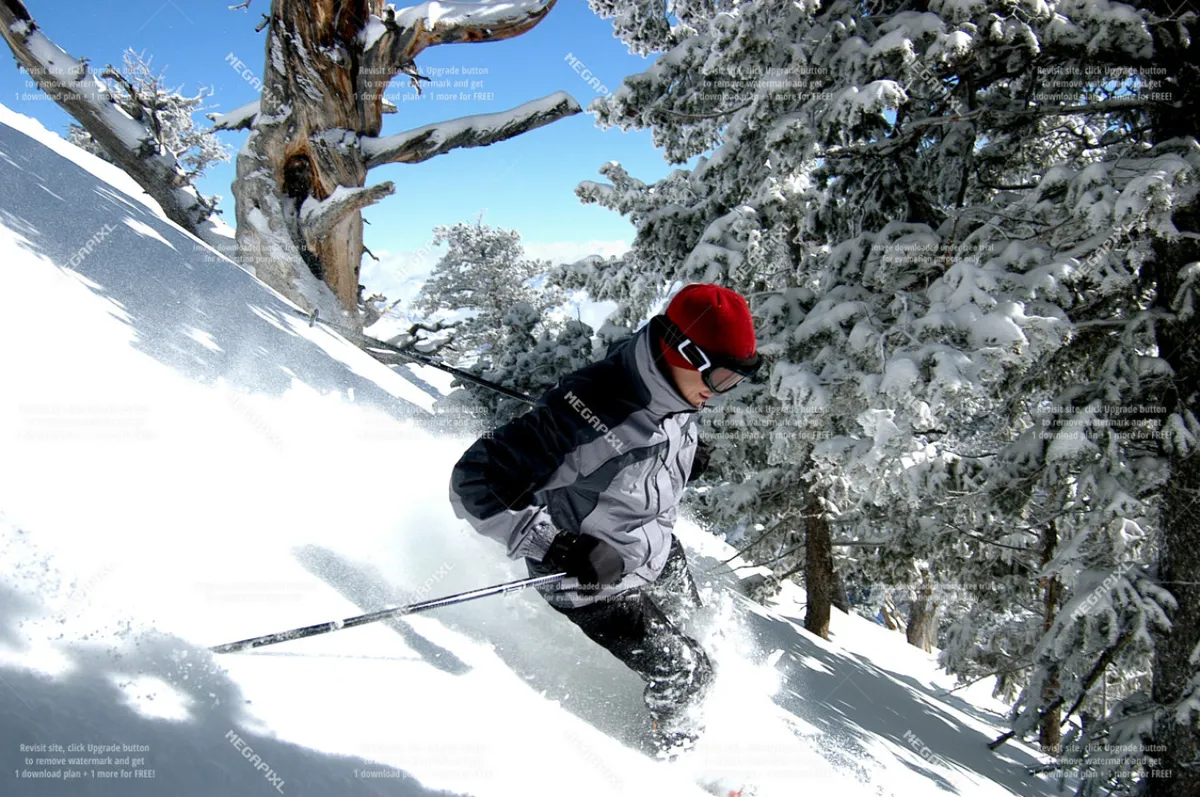 A skier glides down a pristine, snow-covered slope surrounded by tall trees, capturing the excitement of winter sports and mountain adventure. The action is set against a bright winter sky, emphasizing the thrill and scenic beauty of the resort experience.